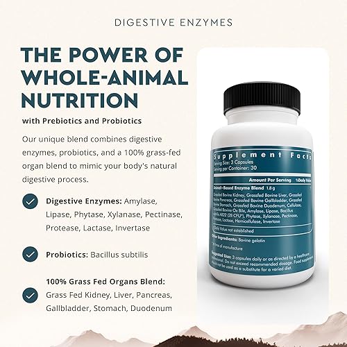 ANCESTRAL SUPPLEMENTS DIGESTIVE ENZYMES WITH PROBIOTICS BEEF ORGANS, 90 CAPS, NON-GMO