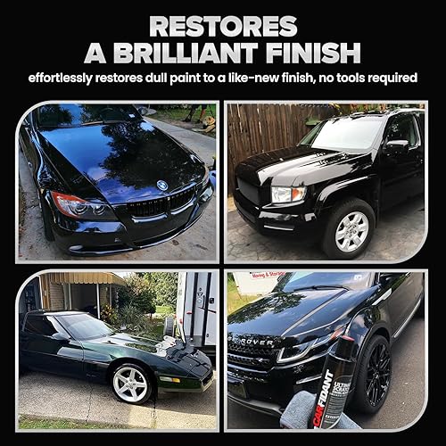 CARFIDANT SCRATCH SWIRL REMOVER KIT WITH BUFFER PAD CAR PAINT REPAIR, POLISH GLOSS 8.4 OZ