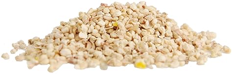 TERRO ANT KILLER PLUS 3LB OUTDOOR INSECT CONTROL SHAKER KILLS FIRE ANTS, FLEAS COCKROACHES