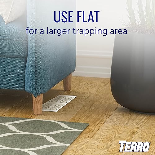 TERRO T3206 INDOOR SPIDER INSECT STICKY TRAPS 4 COUNT PACK OF 1