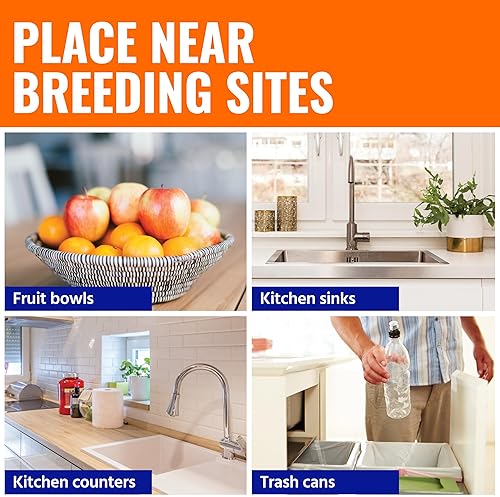 TERRO FRUIT FLY TRAPS INDOOR 4-PACK WITH 180-DAY LURE SUPPLY EFFECTIVE PEST CONTROL