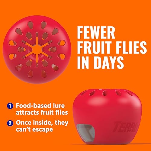 TERRO INDOOR FRUIT FLY TRAPS 6 PACK WITH 270-DAY LURE SUPPLY FOR EFFECTIVE PEST CONTROL