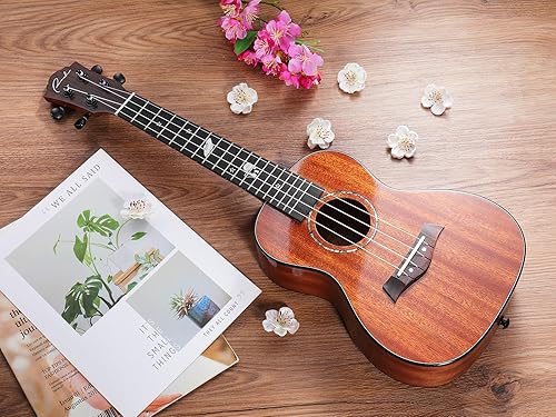 RANCH 23 CONCERT UKULELE KIT, SOLID TOP, STARTER BUNDLE WITH GIG BAG, TUNER, LESSONS MORE