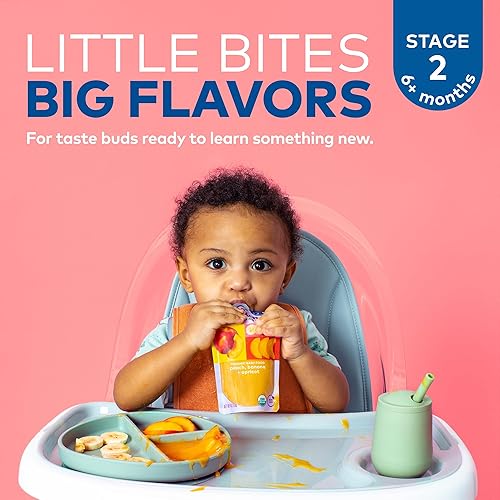 PLUM ORGANICS STAGE 2 ORGANIC BABY FOOD, BANANA PUMPKIN PUREE, 4OZ POUCHES, PACK OF 6