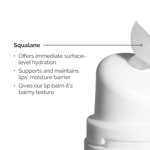 THE ORDINARY LIP CARE DUO PHA 5 EXFOLIATING LIP SERUM SQUALANE AMINO ACID LIP BALM SET