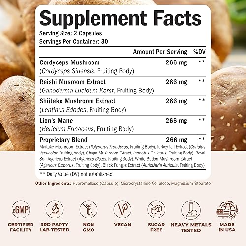 VIMERSON HEALTH 10-IN-1 MUSHROOM SUPPLEMENT LION S MANE, TURKEY TAIL, REISHI, CHAGA MORE FOR ENERGY FOCUS