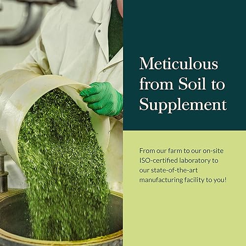 GAIA HERBS NATURAL LAXATIVE TABLETS CONSTIPATION RELIEF FOR ADULTS WITH SENNA, ALOE FENNEL 90CT