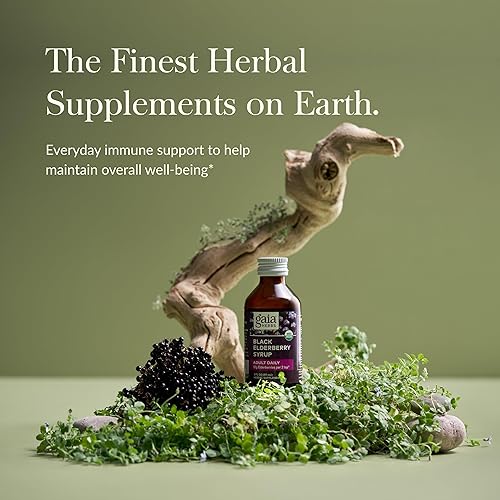 GAIA HERBS BLACK ELDERBERRY SYRUP FOR IMMUNE SUPPORT ORGANIC SAMBUCUS NIGRA, 3 FL OZ