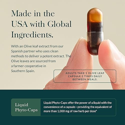 GAIA HERBS OLIVE LEAF EXTRACT IMMUNE SUPPORT SUPPLEMENT WITH OLEUROPEIN 120 VEGAN CAPSULES