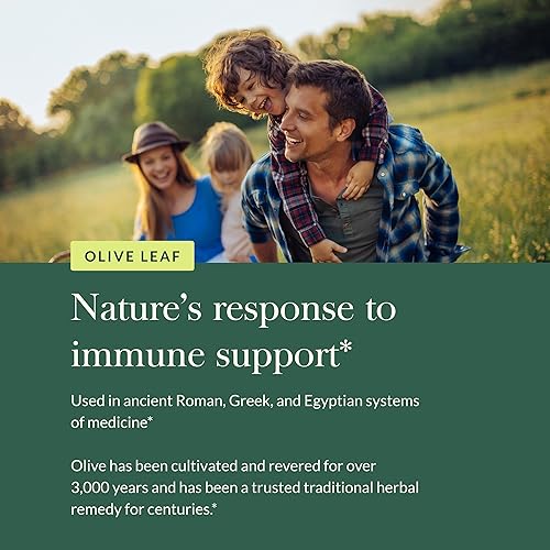 GAIA HERBS OLIVE LEAF EXTRACT IMMUNE SUPPORT SUPPLEMENT WITH OLEUROPEIN 120 VEGAN CAPSULES