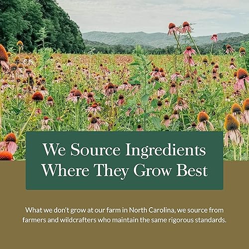 GAIA HERBS ECHINACEA SUPREME IMMUNE SUPPORT, 60 VEGAN CAPSULES, ECHINACEA PURPUREA ANGUSTIFOLIA