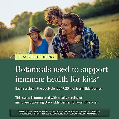 GAIAKIDS BLACK ELDERBERRY SYRUP FOR KIDS ORGANIC IMMUNE SUPPORT WITH HONEY, 3 FL OZ GAIA HERBS
