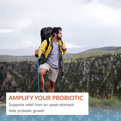 ARTHUR ANDREW MEDICAL FLORAPHAGE PREBIOTIC PROBIOTIC MULTIPLIER 90 CAPSULES, GUT HEALTH SUPPORT