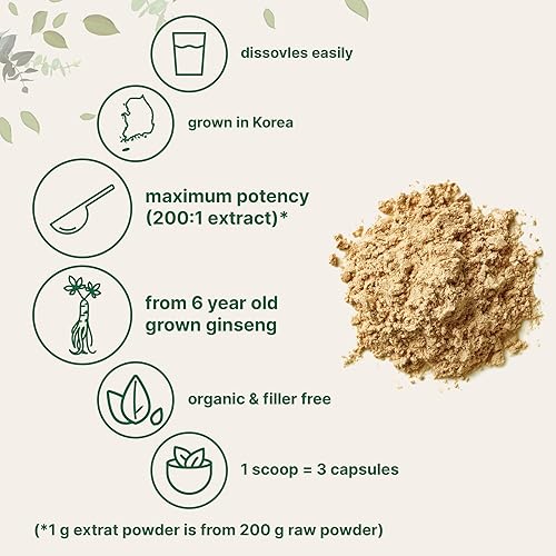 MICRO INGREDIENTS ORGANIC KOREAN RED PANAX GINSENG ROOT POWDER 200 1, 4OZ MAX STRENGTH, VEGAN, ACTIVE GINSENOSIDES