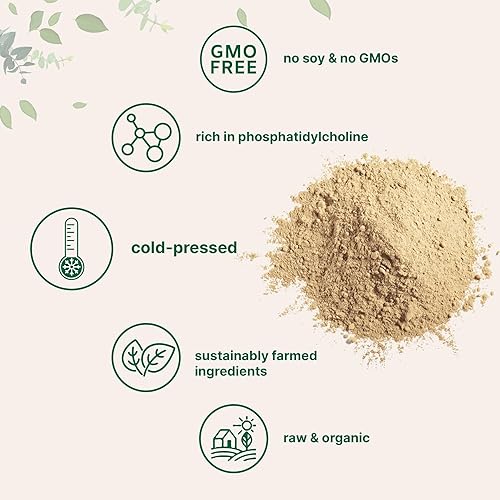 MICRO INGREDIENTS ORGANIC SUNFLOWER LECITHIN POWDER 1LB NON-GMO, COLD PRESSED, FOR LIPOSOMAL VITAMIN C LACTATION