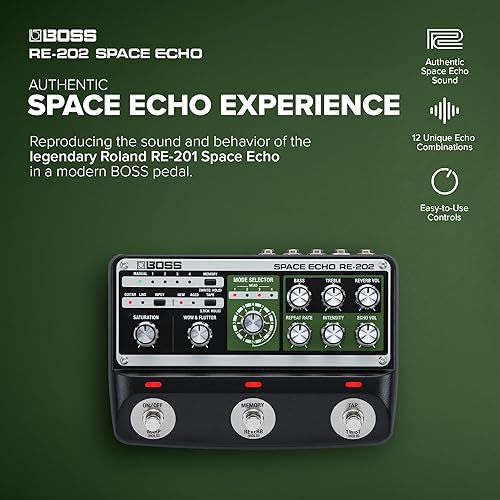 BOSS RE-202 SPACE ECHO PEDAL TAPE ECHO, DELAY SPRING REVERB, TRUE STEREO, ROLAND RE-201 REISSUE