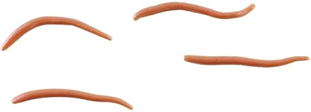 BERKLEY GULP! ALIVE! ANGLE WORM LIFELIKE FISHING BAIT FOR FRESHWATER TROUT SCENTED SOFT PLASTIC