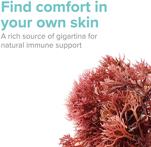 VIBRANT HEALTH GIGARTINA RED MARINE ALGAE CAPSULES PLANT-BASED IMMUNE SUPPORT, 60 COUNT