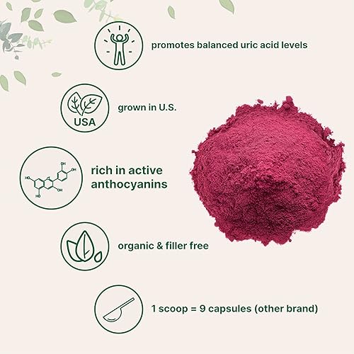 MICRO INGREDIENTS  ORGANIC TART CHERRY POWDER 4OZ 100 NATURAL, NON-GMO, VEGAN, NO SUGAR OR ADDITIVES