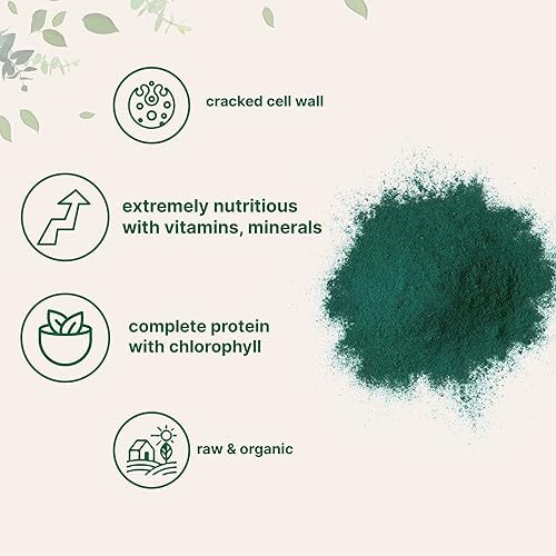 MICRO INGREDIENTS  ORGANIC CHLORELLA POWDER 10OZ - BROKEN CELL WALL, VEGAN PROTEIN VITAMIN RICH, RAW BULK