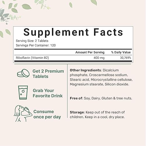 MICRO INGREDIENTS RIBOFLAVIN VITAMIN B2 400MG, 240 MINI TABLETS - ENERGY NON-GMO SUPPLEMENT