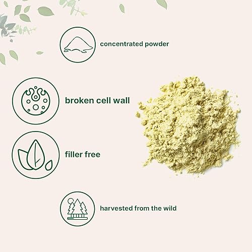 MICRO INGREDIENTS PURE PINE POLLEN POWDER 6OZ - WILD HARVESTED, IMMUNE SUPPORT, ENERGY BOOST, VEGAN, NON-GMO