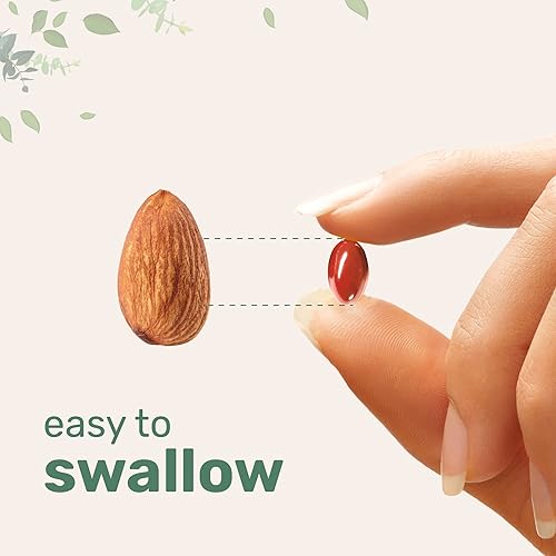 MICRO INGREDIENTS LUTEIN ZEAXANTHIN 40MG SOFTGELS 240CT WITH ASTAXANTHIN OMEGA-3 EYE HEALTH