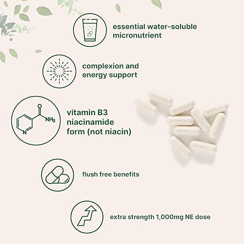 MICRO INGREDIENTS VITAMIN B3 NIACINAMIDE 500MG - 400 CAPSULES, 1000MG FLUSH-FREE NIACIN, NON-GMO, GLUTEN-FREE