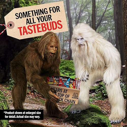JACK LINK S DUOS 11-PIECE BEEF JERKY MEAT SNACK GIFT BOX PROTEIN GIFTS FOR MEN MEAT LOVERS