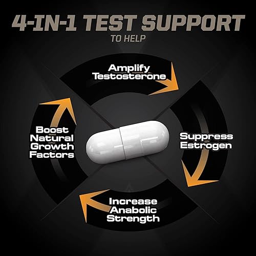 PMD METHYL ANDRO HARDCORE - TESTOSTERONE SUPPORT FOR LEAN MUSCLE STRENGTH - 90 CAPSULES