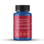 BIOLONGEVITY  BIOADRENAL – A-17 ADRENAL PEPTIDE BIOREGULATOR (GLANDOKORT) 60 CAPSULES