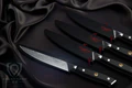 DALSTRONG SHOGUN SERIES 4 PIECE STEAK KNIFE SET