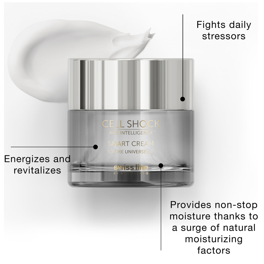 SWISSLINE RESTORE AND RECOVER ROUTINE