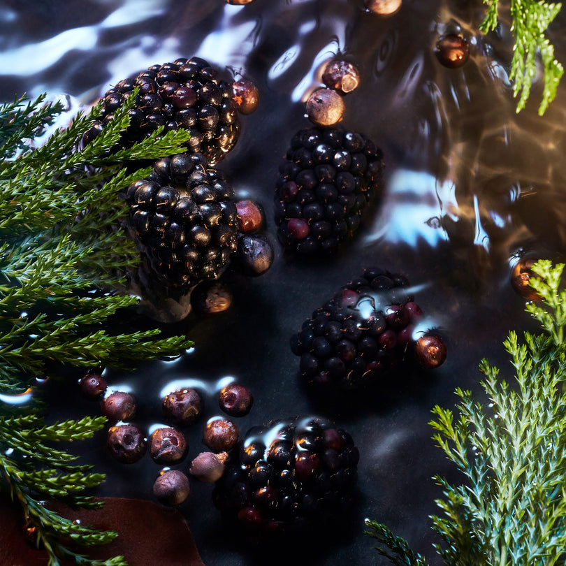 ROJA LONDON ELYSIUM NOIR 10ML EDP