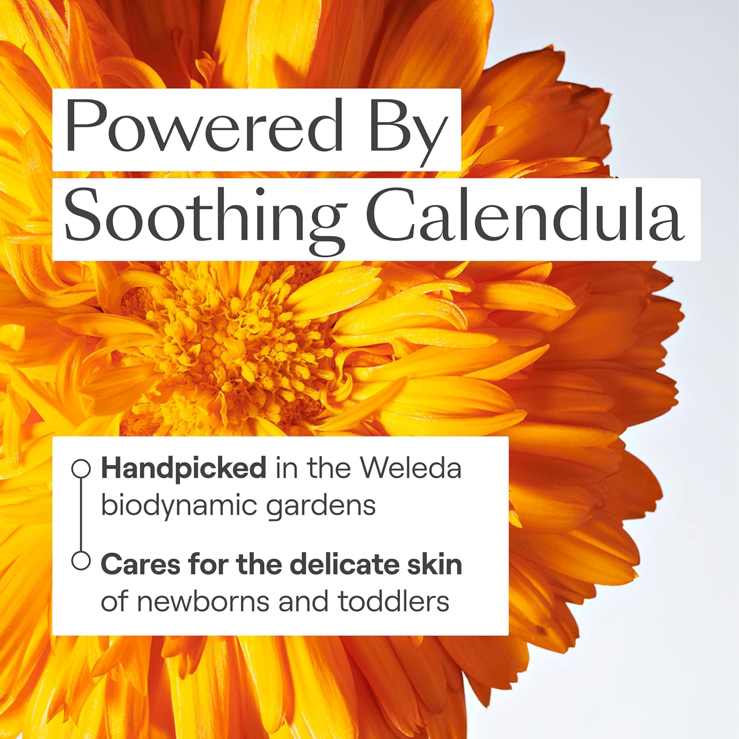 WELEDA BABY CALENDULA 2-IN-1 SHAMPOO BODY WASH 6.8OZ DIAPER CREAM 2.8OZ WITH ALMOND OIL