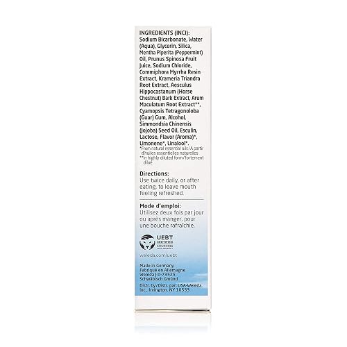 WELEDA NATURAL SALT TOOTHPASTE 2.5 FL OZ PACK OF 3 FLUORIDE-FREE, FRESH BREATH CARE