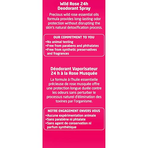 WELEDA WILD ROSE BODY OIL DEODORANT DUO 3.4OZ PACK OF 2 NATURAL SKIN CARE SET