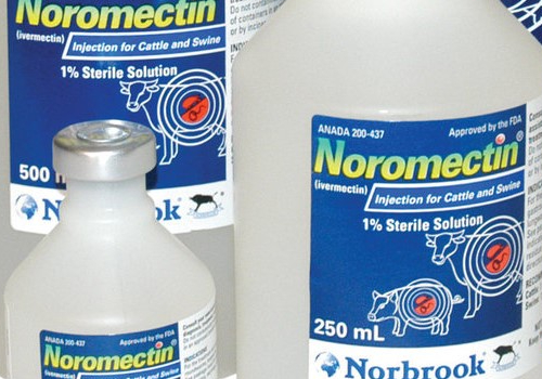 Noromectin Plus İnjection