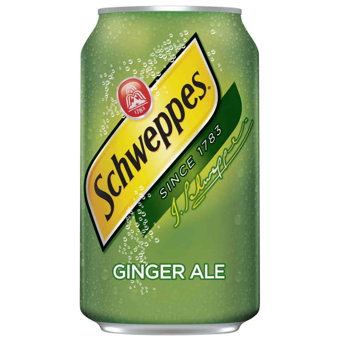 Ginger Ale | Amerikasepetim