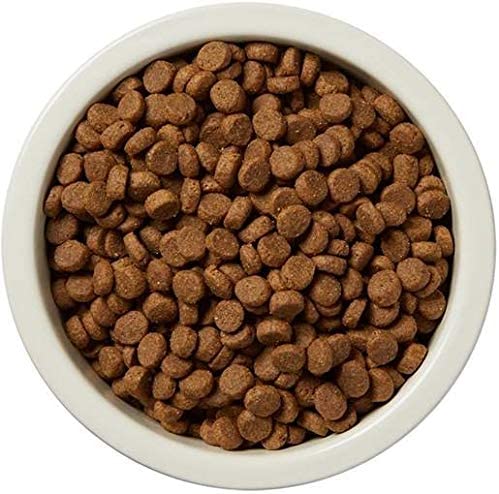 Wag Wholesome Grains Dry Dog Food - 30 Lbs-1
