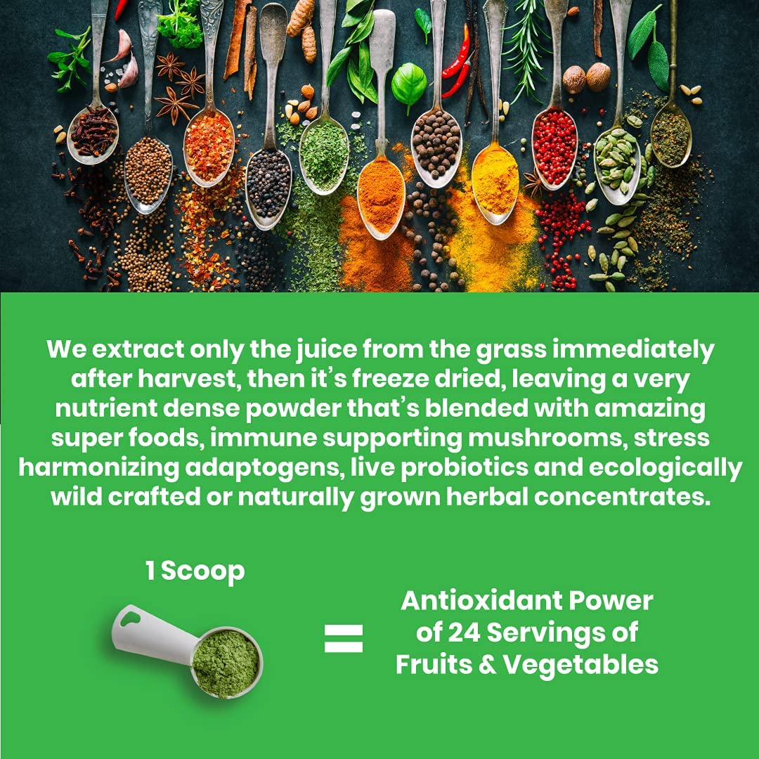 Paradise Herbs Orac Energy Greens - 60 Servings-1