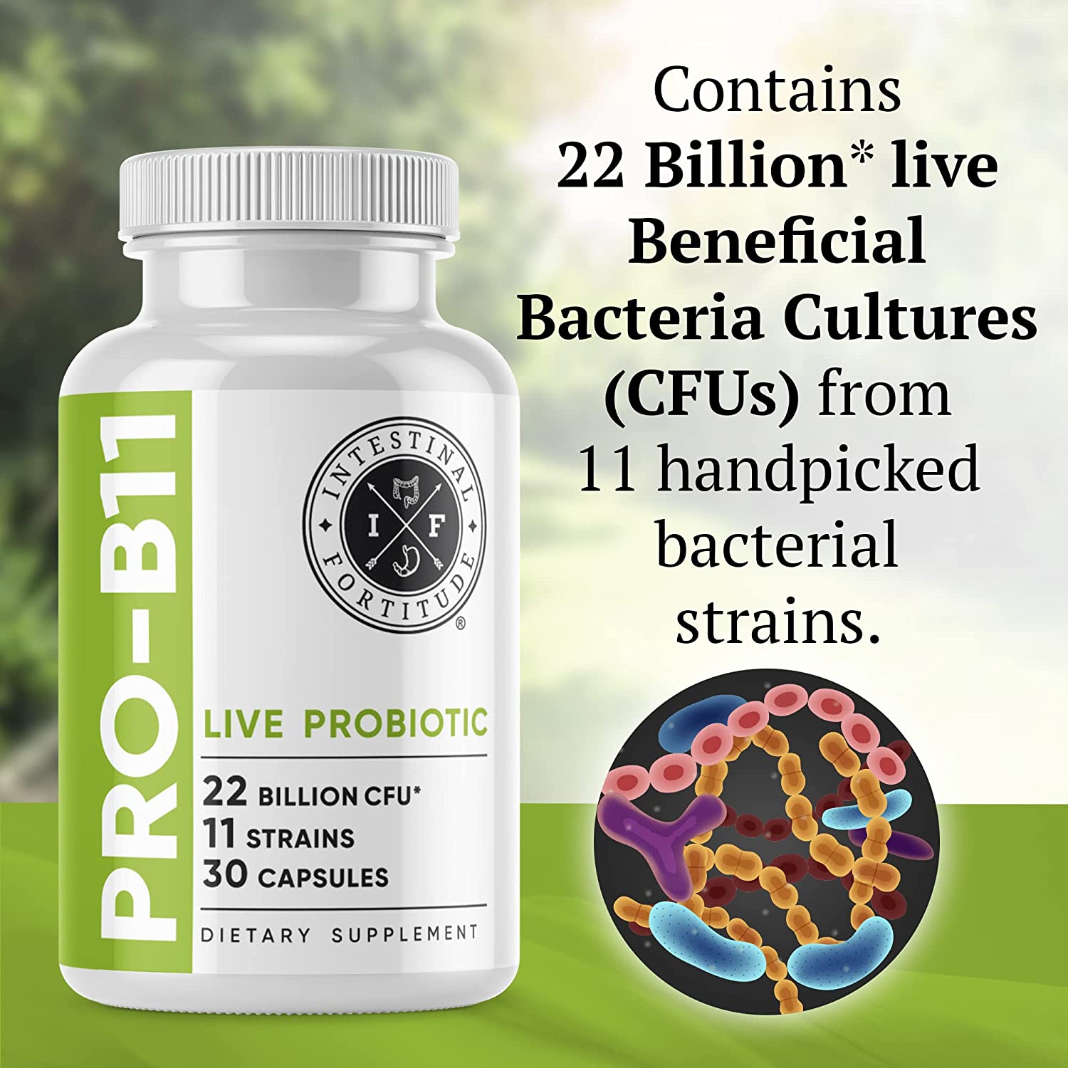 Intestinal Fortitude PRO-B11 Probiotic - 30 Tablet-2