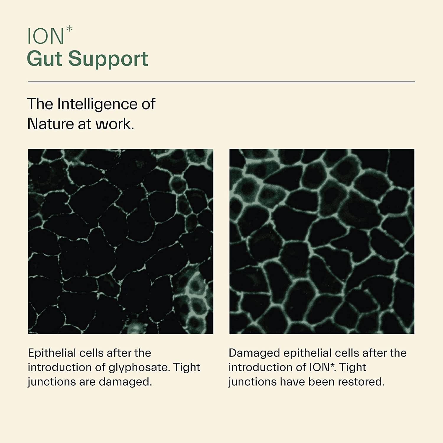 ION Intelligence of Nature Gut Support - 946 ml-2
