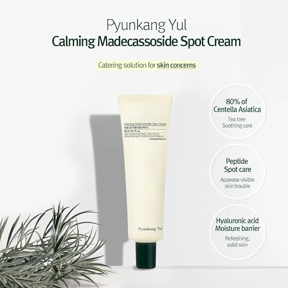 Pyunkang Yul Calming Madecasoside Spot Cream - 30 Ml-1