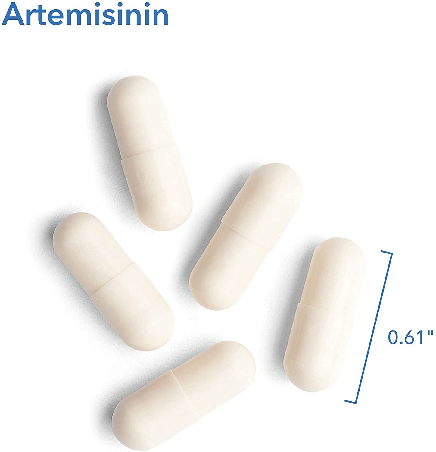 Allergy Research Group Artemisinin - 90 Tablet-1