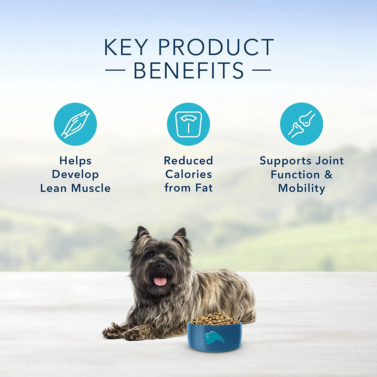 Blue Buffalo Life Protection Formula Natural Adult Small Breed Healthy Weight Dry Dog Food - 2.2 kg-1