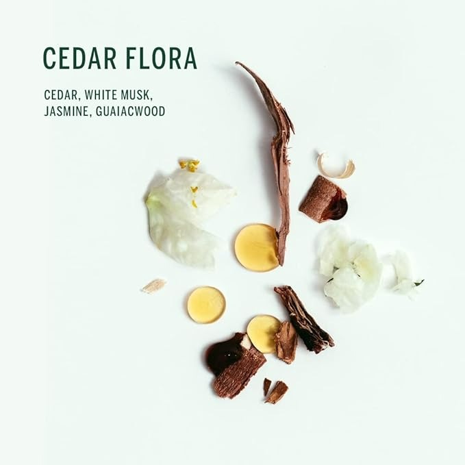 Corpus Cedar Flora Natural Plant - 2.6 Oz-2